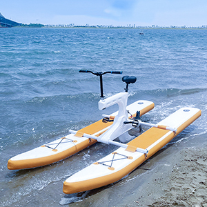 Bicicleta catamaran