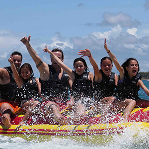 Banana 3 pax (H1.25)