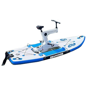 Bicicleta simple (N8.25)